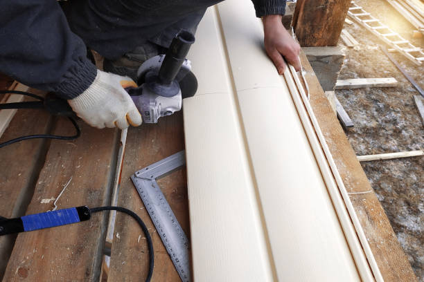 Best Fascia and Soffit Installation  in Lake Mary Jane, FL